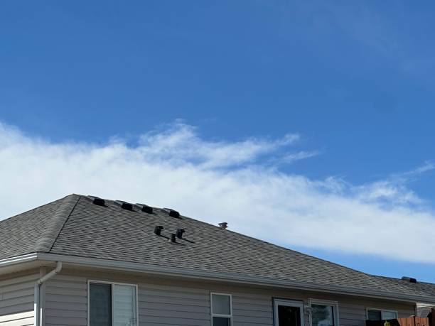 Best Metal Roofing Installation  in Sparta, MO